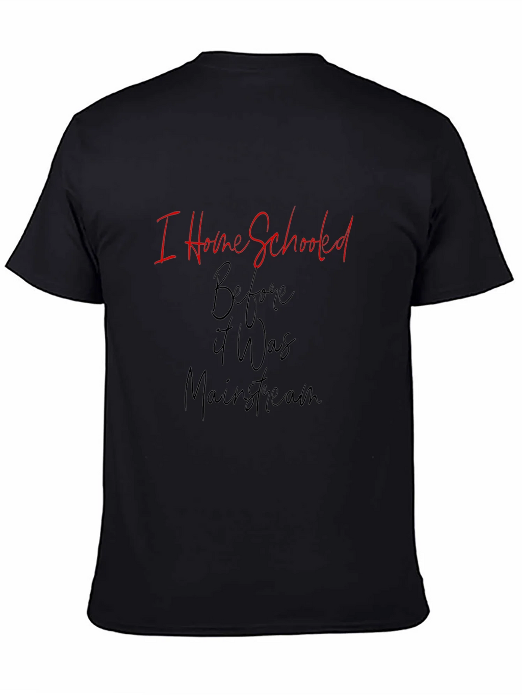 I Home Schooled Before It Was Mainstream T-Shirt product image 4