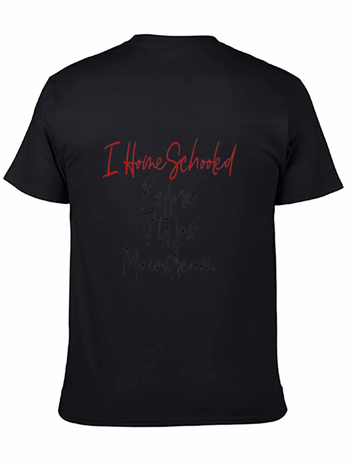 I Home Schooled Before It Was Mainstream T-Shirt product image 4