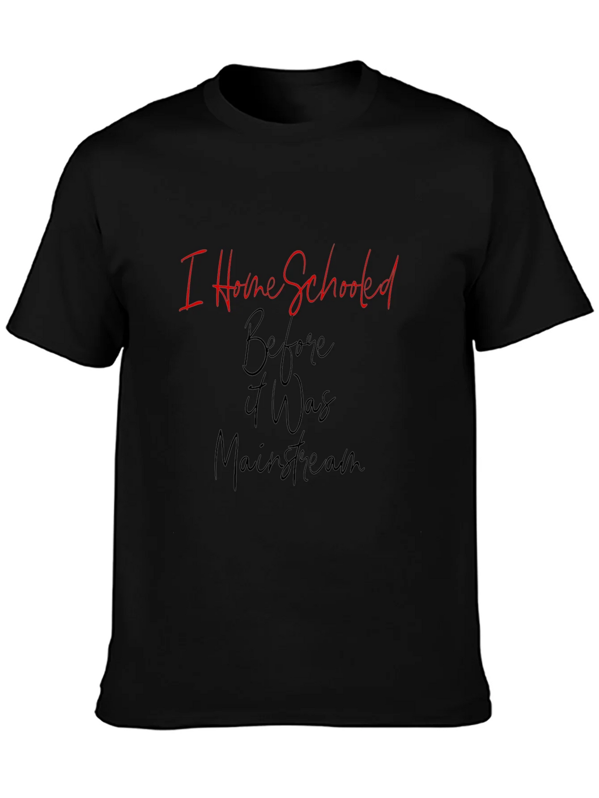 I Home Schooled Before It Was Mainstream T-Shirt product image 3
